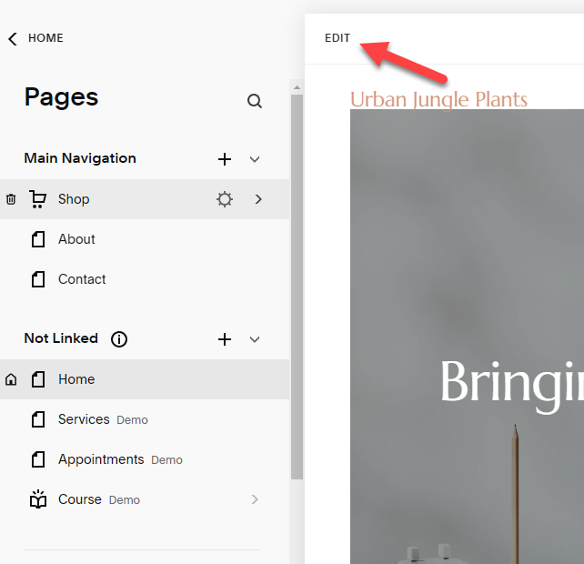 Screenshot showing how you can add a quiz to an existing page on your Squarespace website.