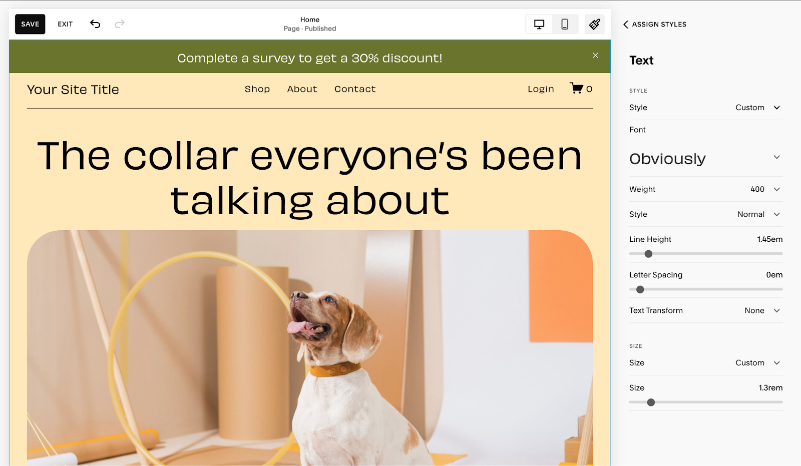 Image showing how you can adjust the font on your Squarespace announcement bar.