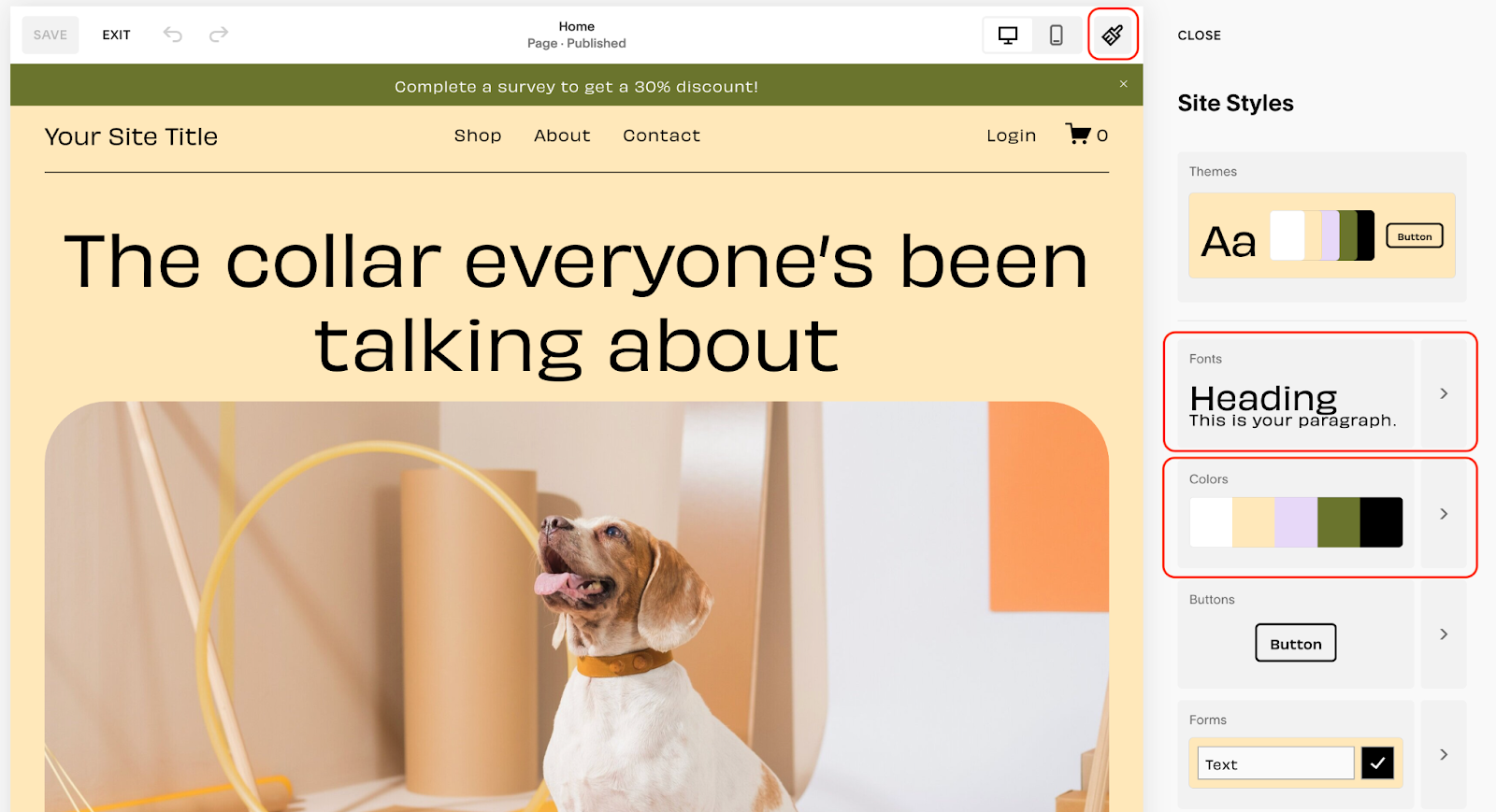 Image showing how you can customize your Squarespace announcement bar.
