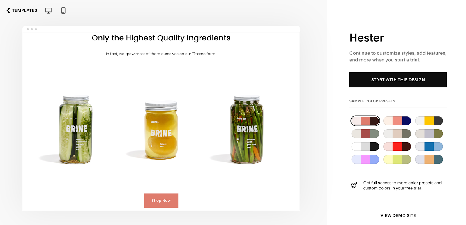 Image showing an example of an effective landing page from the brand Hester.